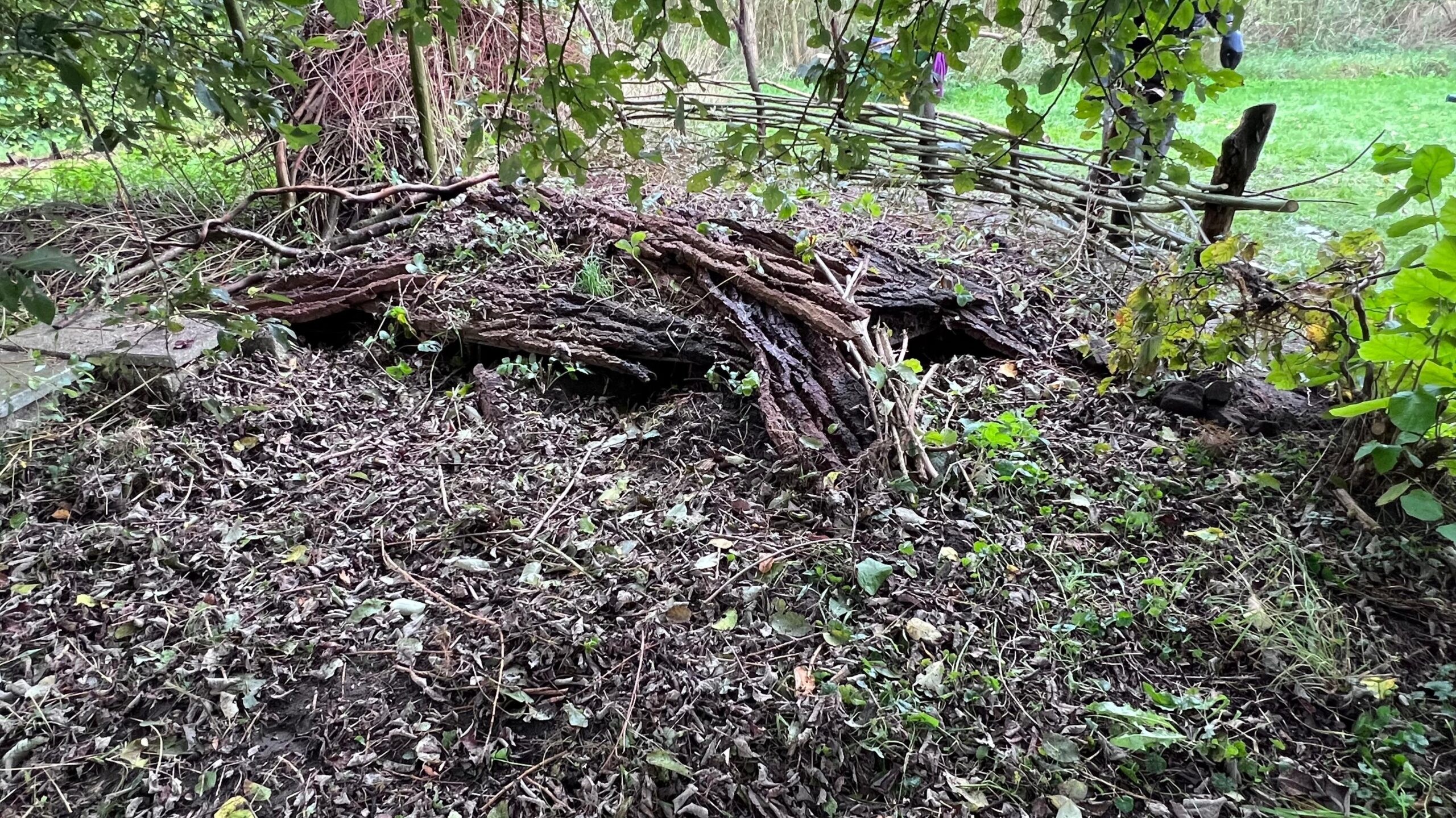 Build your own Hedgehog Dome: Free Online Course