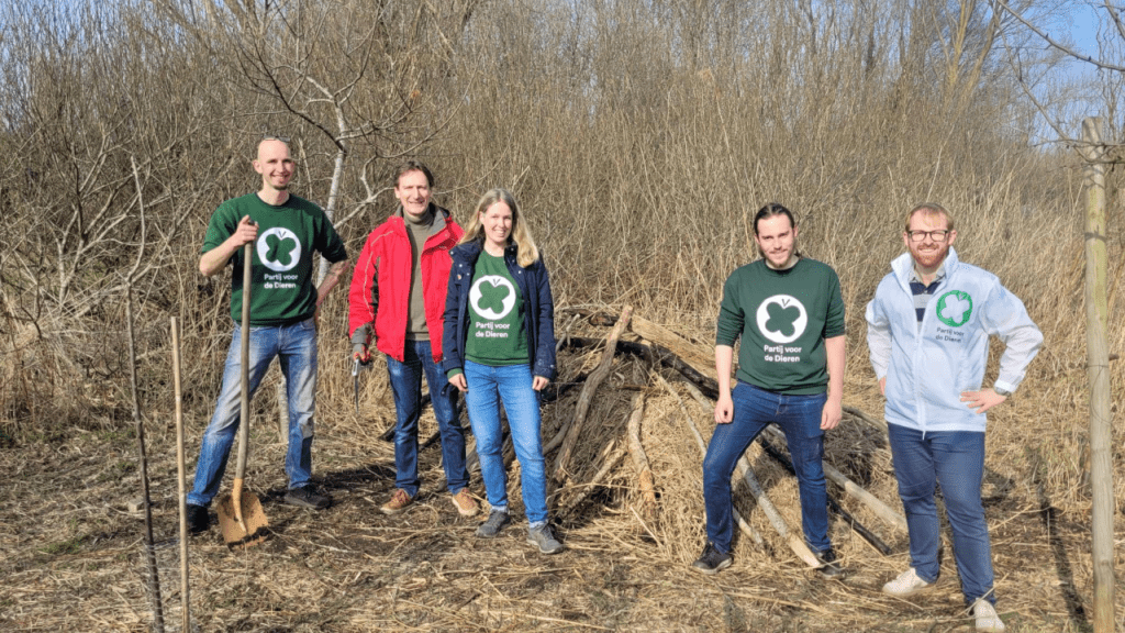 Hedgehog Dome at the Jagersveld Picking Garden in Zaanstad