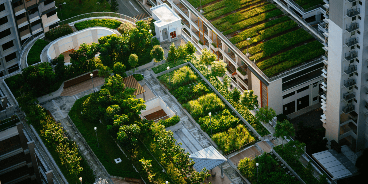 The sustainable city
