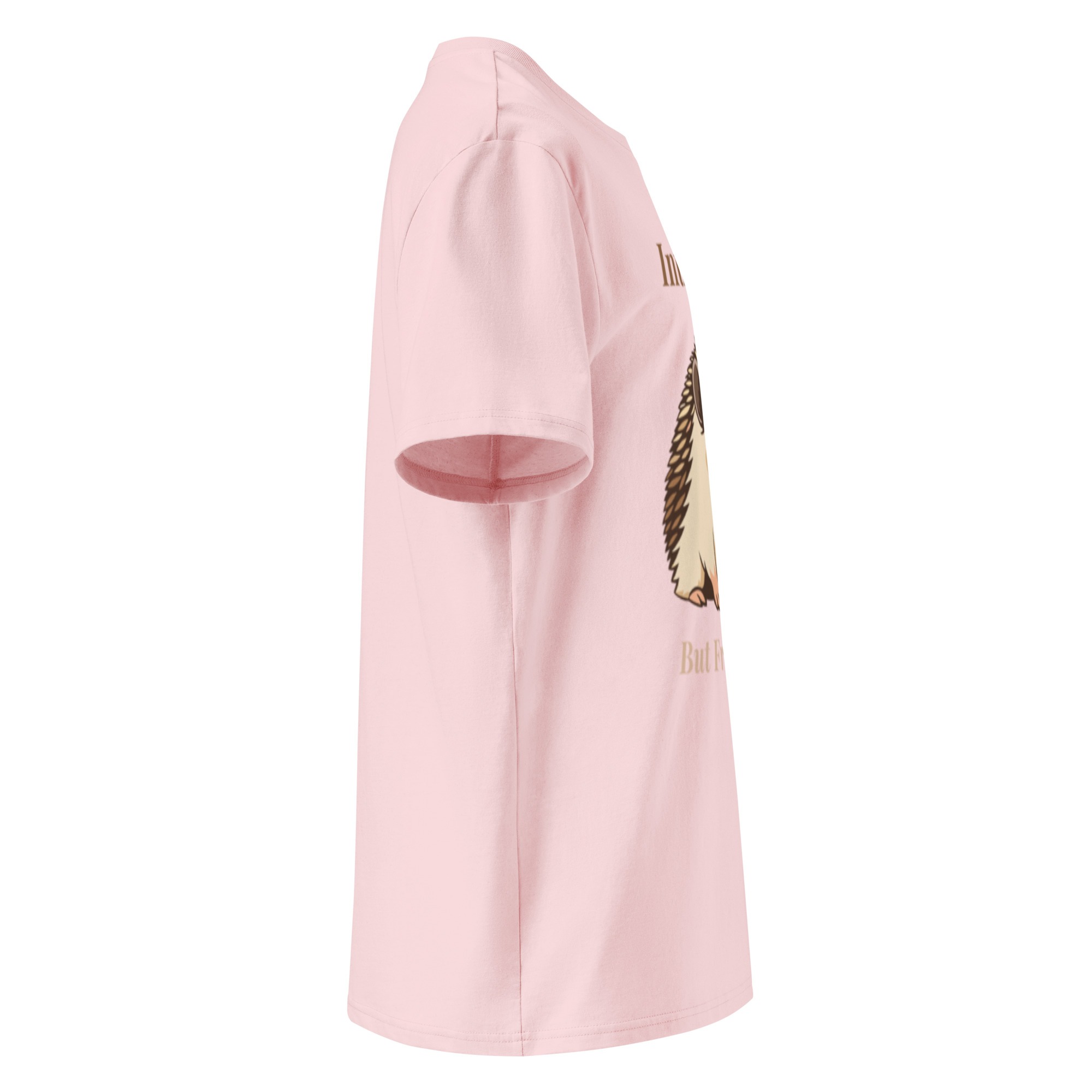 Introvert But Friendly T-shirt in Cotton Pink - Image 5